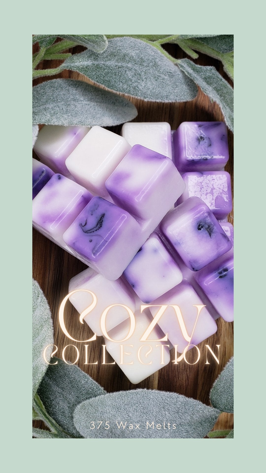 Cozy Collection