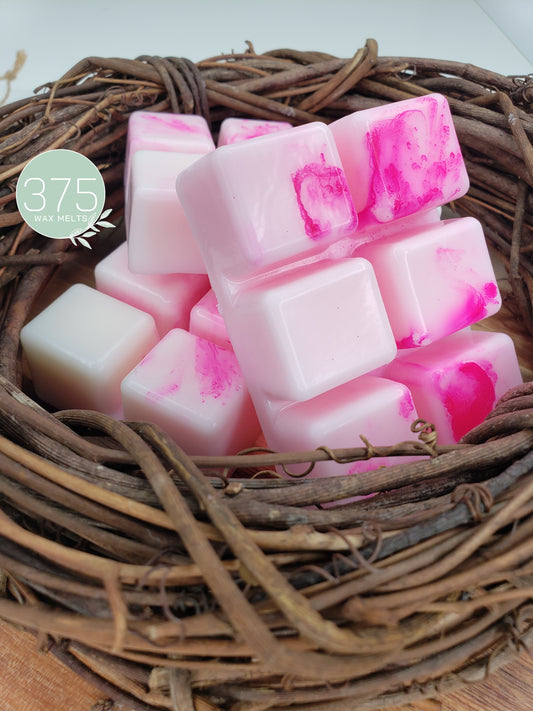 JANUARY SKIES Wax Melt