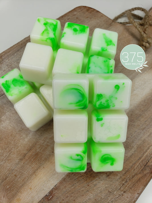 VIRGO VIBES Wax Melt