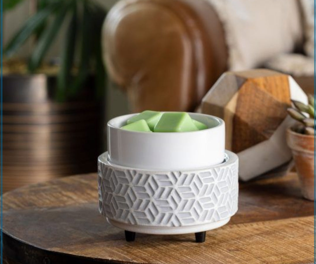 2 IN 1 WAX WARMER