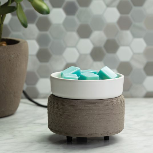 2 IN 1 WAX WARMER