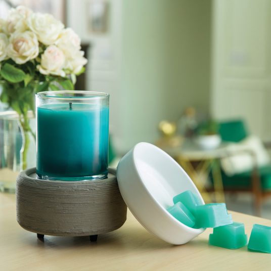 2 IN 1 WAX WARMER